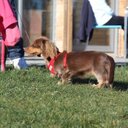 Ella Wyatt - @ellabella_40 - Twitter