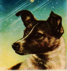 Pupnik's profile picture. It doesn't really matter, does it?