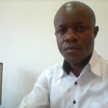 Investment Analyst, Statistician, Researcher and Freelance Writer.