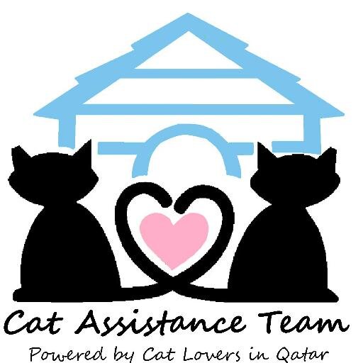 A volunteer-based group that fundraises to support cat rescue in Qatar. All proceeds go to cats in our care. For enquiries email catservicedoha@gmail.com.