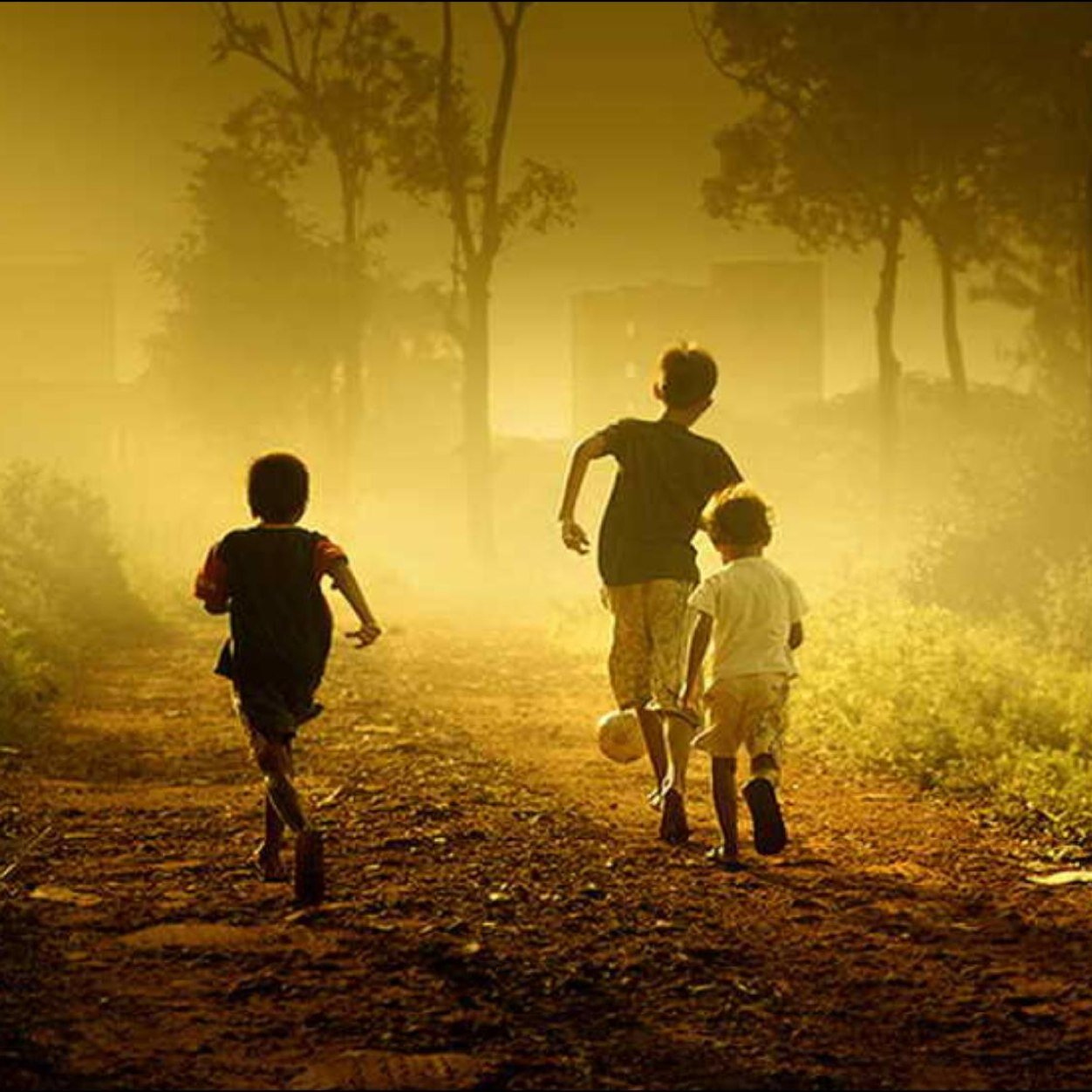 xpao24's profile picture. Passionate coder spreading happiness through lines of code. Embracing the joy of programming and living life to the fullest. 🚀✨