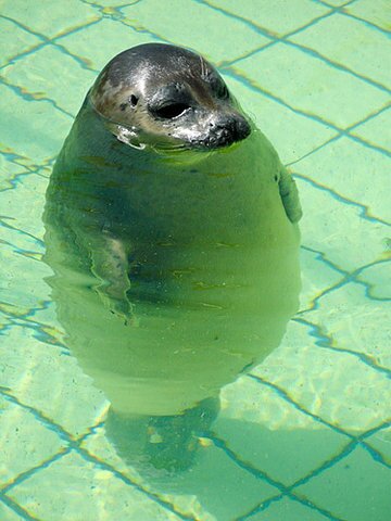 Children's events manager, swimming instructor, general awesomeness