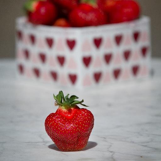 svenskabar's profile picture. Bärfrämjandet är ett samarbetsprojekt mellan GRO Bär och Svenskt Sigill för att främja svenska bärodlare och konsumtionen av svenskodlade bär.