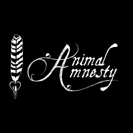 Animal Amnesty is an organisation that provides animal justice /rights through education, exposing cruelty, and persuading governments to change the legislation