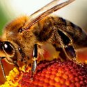 Sandra Hearn - @SnadsHearn - Twitter