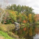 Debbie Dumont - @countryluva3813 - Twitter