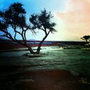 Saleh Ssowan (@054Ssowan) Twitter