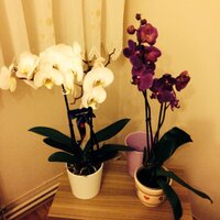 Yüksel Altınsoy (@y_altnsoy) Twitter profile photo