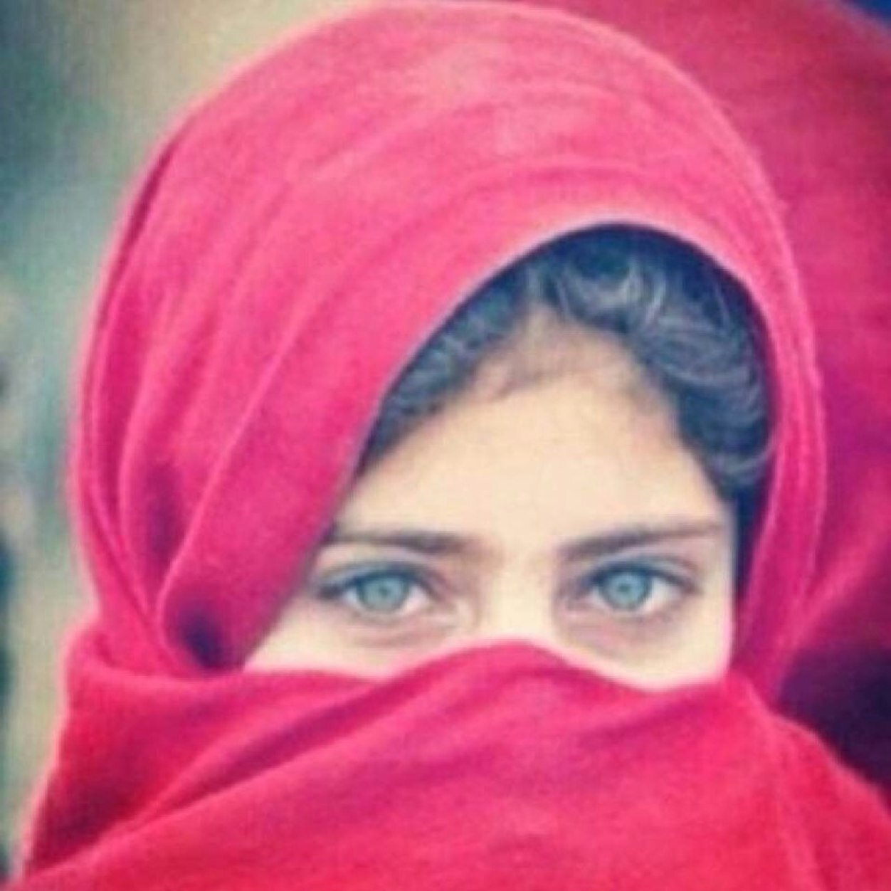 shmokh27 Profile Picture