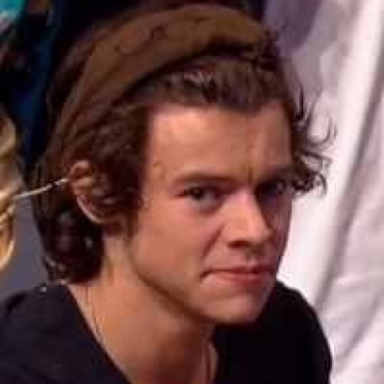 follow @nikenixll if you want harry to eat you like a fried grasshopper