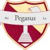 Pegasus (@fordspegasus) Twitter profile photo Pegasus (@fordspegasus) Twitter profile photo