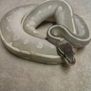 James Coyle - @jcoylesr76 - Twitter