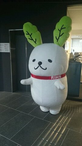 総務と言う名の何でも屋です。水樹奈々さんのライブに参戦することと呑みに行くのが好き。週末には生ビールをゴクッといきたいんや！！