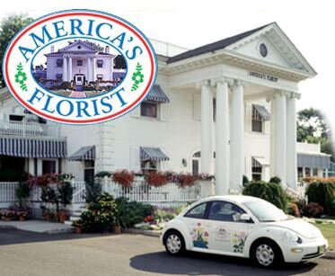 America's Florist has flowers for your every occasion. Stop in today at 227 W Union Avenue, Bound Brook, NJ 08805. Or give us a call at (800)872-3567.