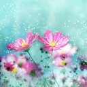 Rita Blackwell - @Lady_Blackwell3 - Twitter