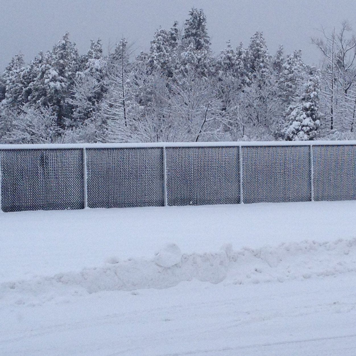 Sgaothaich's profile picture. 