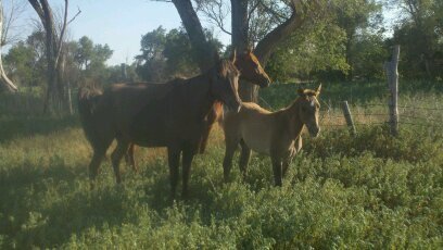 brpdy123321tyan's profile picture. 