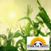 Farm For Profit (@farmforprofit) Twitter profile photo