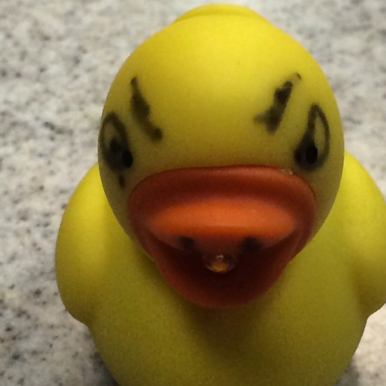 Chick Mcgee's Duck (@ChickMcGeeDuck) | Twitter
