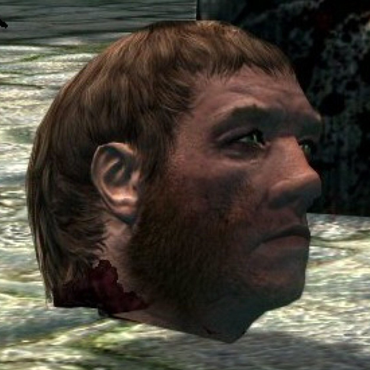 Hello, there. In case you haven't noticed, I am a severed head. I mostly chill in Sovengarde, but occasionally I may pop down to Nirn to settle petty disputes.