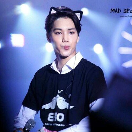 อันยองไคเหมียวเองเน้อออ~ สนใจจะรับเลี้ยงผมมั้ยเหมียว สนใจเมนชั่นมาหรือไม่สะดวก DM มาโล้ดดดดด~ [ @pparkkcy เจ้านายสุดที่รักของผม ] [ #school:HB ] [ #EXPNFAM ]