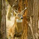 shane thomason - @Zackchase1Shane - Twitter