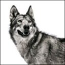 Nick Abrams - @ffenexarthreef - Twitter