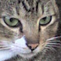 B41M412's profile picture. The One and Only