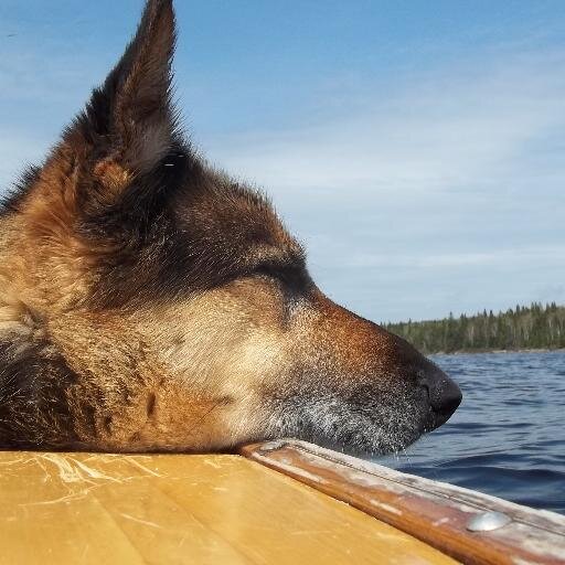 Wilderness Guide, Outdoor Skills Instructor, Canoe Maker, Dad, Brother, Son and Husband.Get outside and Play!