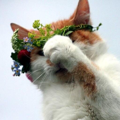 Tis I, Jean