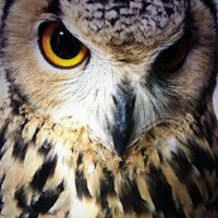 むた (@mutax20a) Twitter profile photo