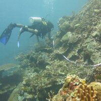 Tommy Arum Bisyawal (@tommyarum) 's Twitter Profile