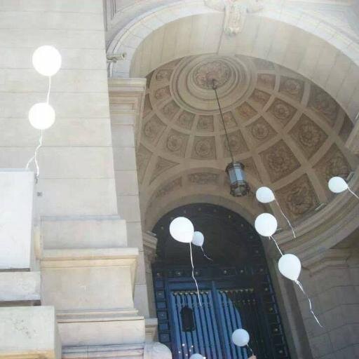 noalSAP's profile picture. el SAP no existe . Viola los derechos del niño. La Constitucion y la CIDN