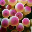 Kevin Pohl - @footpsennlofe - Twitter