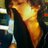xxx_0625__'s profile image