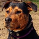 Jeff Connelly - @jsconnelly - Twitter