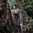 DianaZAlhindawi's profile image