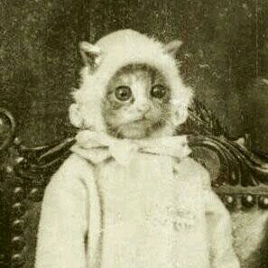 safonidze's profile picture. 