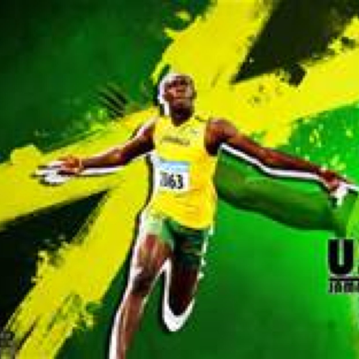 GobearsNathan's profile picture. 