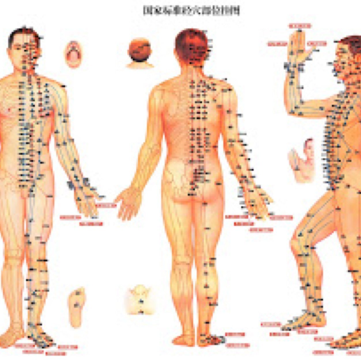 Karuna Ki master, Reiki Usui master ,Gendai Reiki Ho, Kundalini Reiki , Shamballa MDH Master Teacher ,Hypnotherapy instructor, Timelinetherapist,Tarot reader