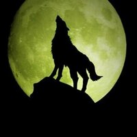BTCWolf (@crazywolfed) 's Twitter Profile