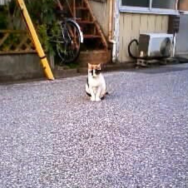蚊帳文庫さんのプロフィール画像