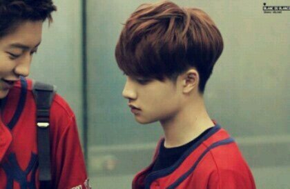 exoDObot's profile picture. E.X.O-K D.O(도경수) 봇; 맞팔 답멘 가요