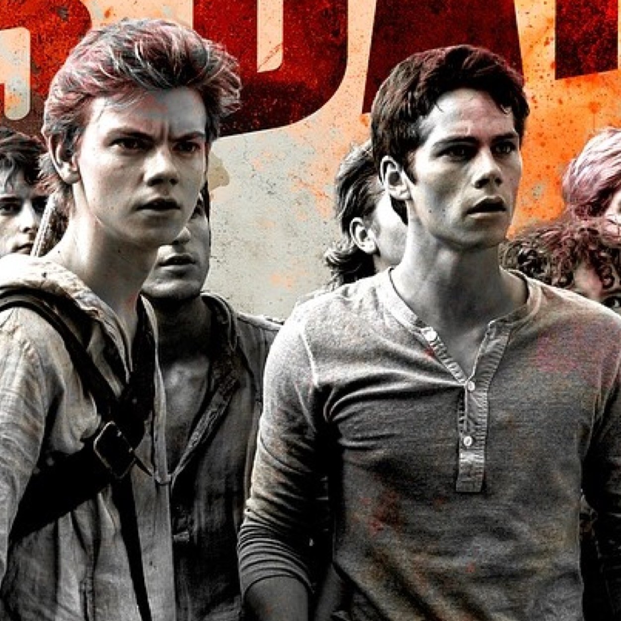 Proud Glader. Fan before the movie. Maze Runner is my life! James Dashner is my hero! #OriginalGlader #Dashnerarmy #MazeRunnerFan