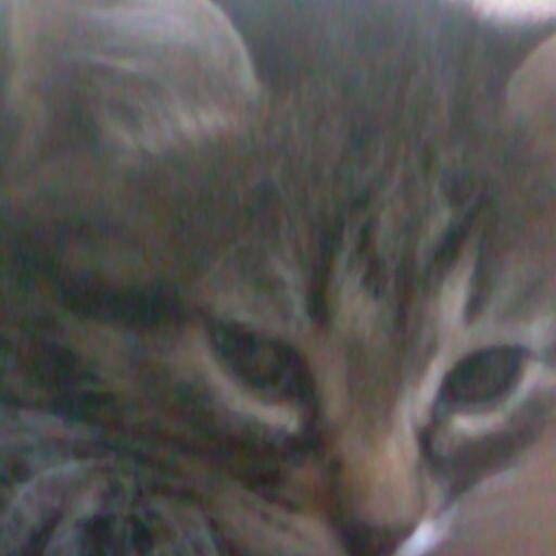 ElenaTeplova1's profile picture. 