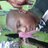 NDAWATHOMAS's profile image