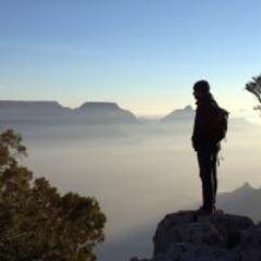 vmontaner's profile picture. 