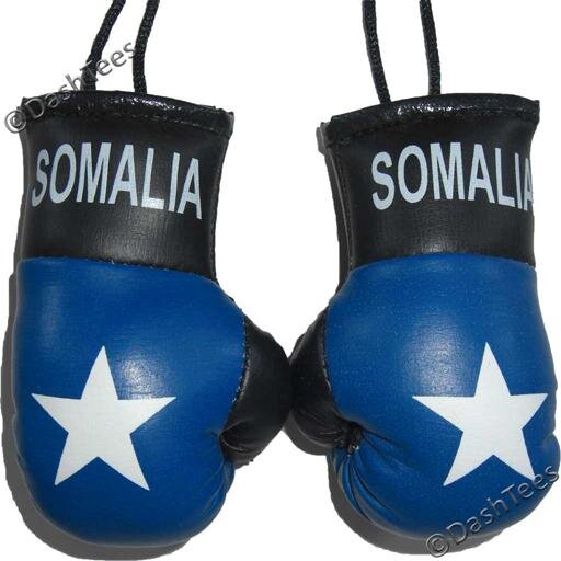 SomaliInfowar's profile picture. 