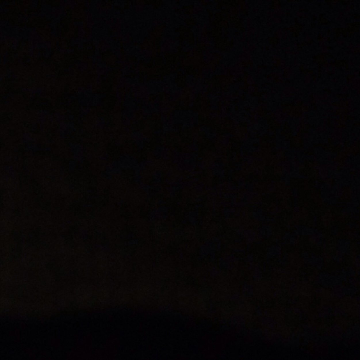 wtf