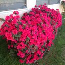 Marge Dean - @DeanDrmed - Twitter